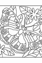 Butterflies coloring pages For Adults  Online Or Printable sketch template