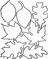 Fall Leaves Coloring Pages Printable  Free Sheet Printables sketch template