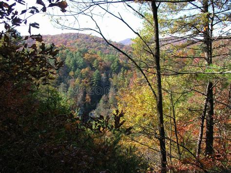 Fall Foliage on a Hiking Trail on the Appalachian Trail Stock Photo ...