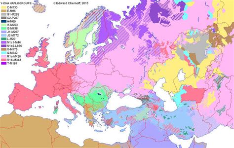 Y-DNA haplogroup distribution map. : r/MapPorn