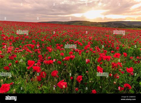 Derbyshire national parks hi-res stock photography and images - Alamy