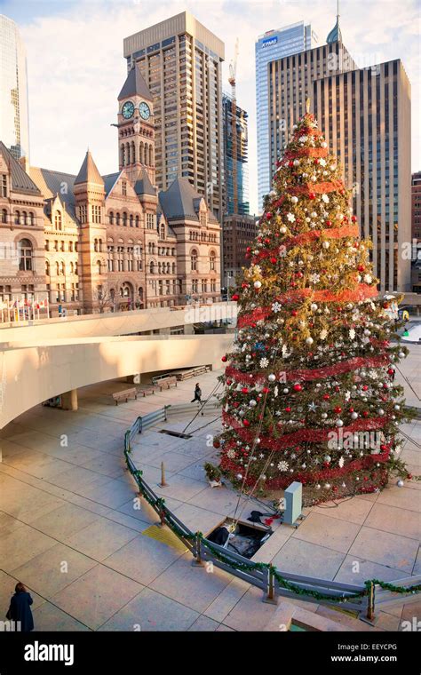 Christmas Tree at Toronto City Hall at Christmas Time and scatting on Stock Photo, Royalty Free ...