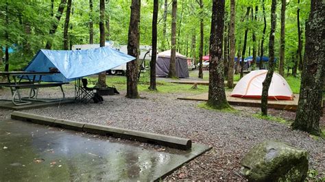 Video of Cades Cove Campground, TN from Tiffany M. - YouTube