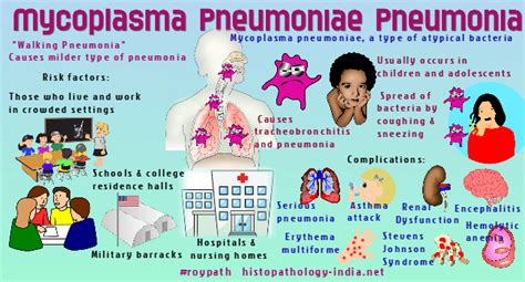 Pneumonia Symptoms In Kids