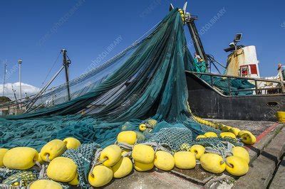 Purse seine fishing net - Stock Image - C016/4778 - Science Photo Library