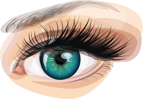 realistic eyes clipart transparent background 20 free Cliparts ...