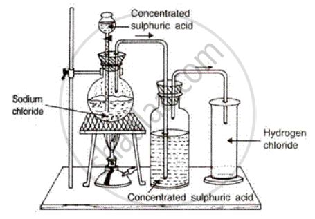 Icse Chemistry Preparation Of Hcl Gas In Laboratory