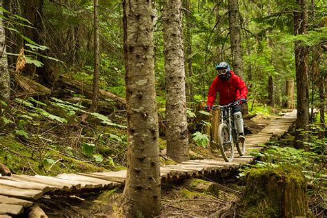 Whistler Mountain Bike Park 102: A Beginner to Intermediate Guide - The Whistler Insider