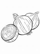 Coloring Pages  Vegetables Onion Page For Kids sketch template