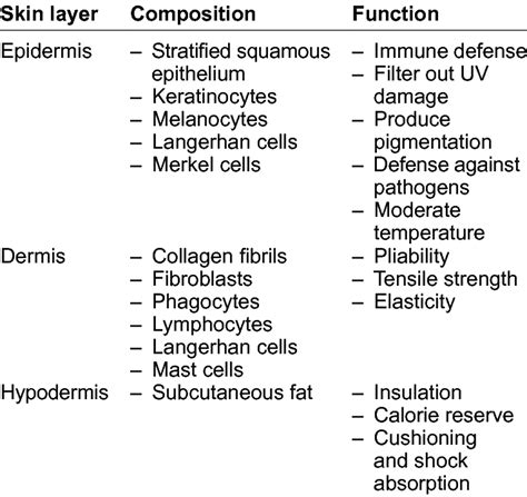 Main layers of human skin including their compo- sition and function. | Download Table