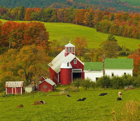 Autumn At Bogie Mountain Dairy Farm Photograph by John Vose