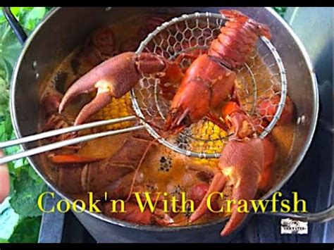 Cooking with Crawfish Competition Crayfish Crawdad Recipes King Crab Scallops - YouTube