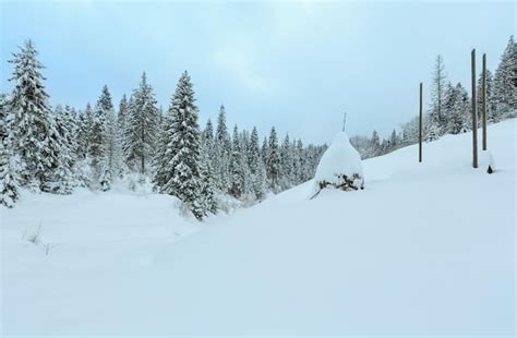 Premium Photo | Winter carpathian mountains landscape