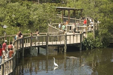 Gatorland Tickets Only - Orlando