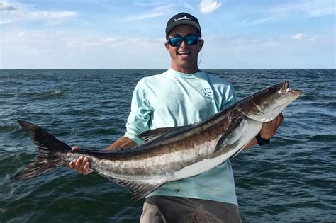 How to Fish for Cobia in Florida: The Complete Guide