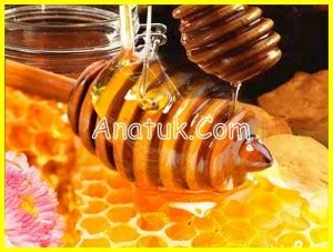 Madu Untuk Obat Batuk Anak Yang Terbukti Ampuh - Anatuk Obat Batuk Pilek Anak Tradisional Manjur