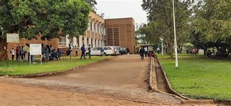 Finally! Kyambogo University Prohibits Rearing of Animals within Campus - Campus Bee