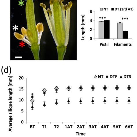 Pollen viability, flower and silique development in Arabidopsis... | Download Scientific Diagram