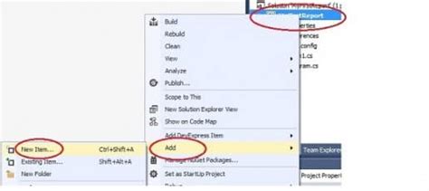 How to Create Crystal Report using Visual Studio