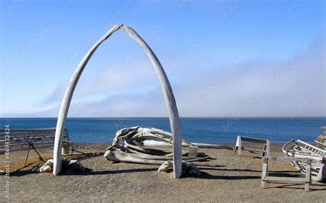 the iconic whale bone arch next to the arctic sea on a sunny summer day in the far north of ...