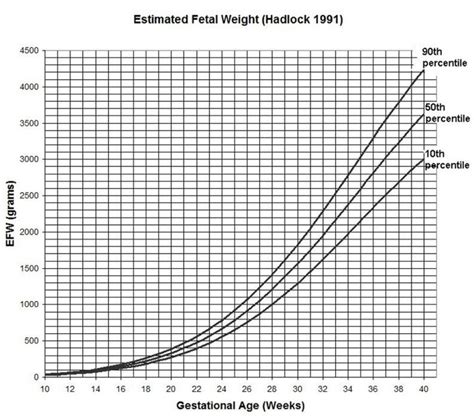 Fetal Weight Percentile Calculator | Blog Dandk