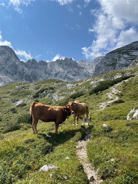 Hiking in garmisch partenkirchen hiking holidays for all senses – Artofit