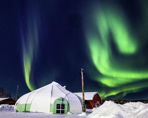 Aurora Borealis in Fairbanks Photograph by Alex Mironyuk - Fine Art America