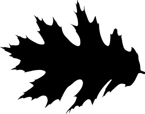 15 Leaf Silhouette (PNG Transparent) | OnlyGFX.com