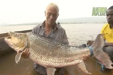 No photoshop or digital enhancement. This is Jeremy Wade holding a ...