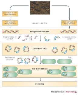 The metagenomics of soil | Nature Reviews Microbiology