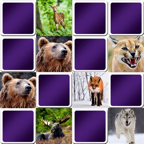 Great memory game for seniors - animals - Online and free game!