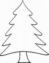 Pine Tree Coloring Pages  Yunus sketch template