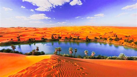 Al Fayoum Oasis Egypt | Faiyum Egypt - Egypt Trip Guides