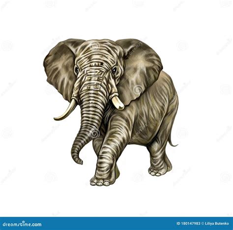 Realistic Drawing Elephant Drawing Stock Illustration - Illustration of portrait, nature: 180147983