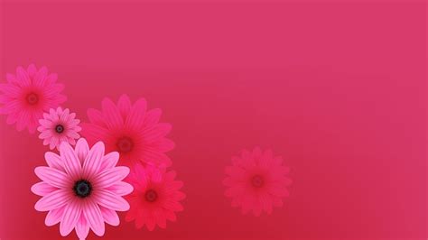 three pink flowers on a red background