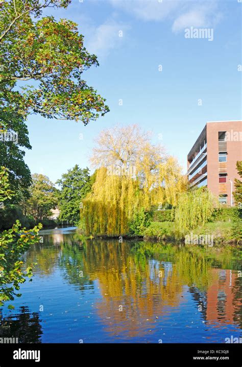 River wensum in norwich trees hi-res stock photography and images - Alamy