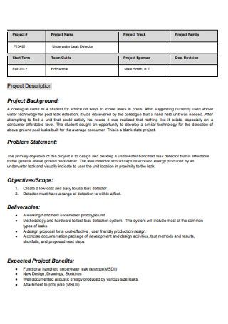 48+ SAMPLE Background Statements in PDF | MS Word