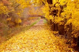 Fall Colors in Bucks County :: Fall Foliage Tours