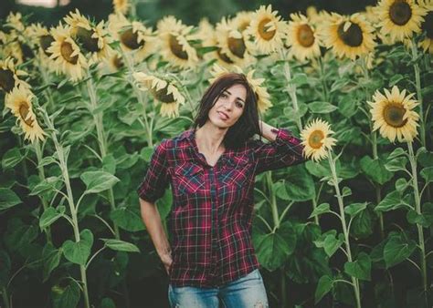 Sunflower Shirt Stock Photos, Images and Backgrounds for Free Download