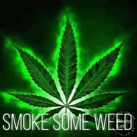 Weed GIF - Weed - Discover & Share GIFs