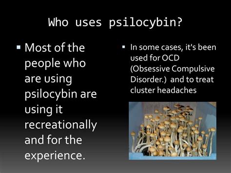 PPT - Psilocybin PowerPoint Presentation, free download - ID:2430570