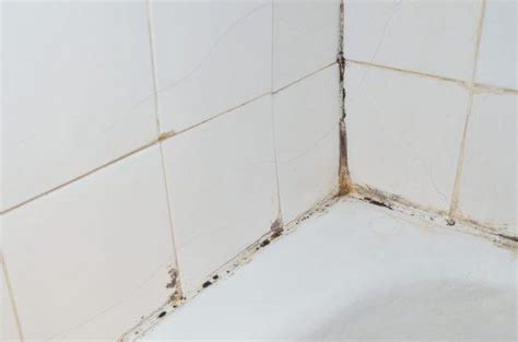 How to remove mold from shower caulking - Home like you mean it