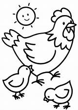 Free & Easy To Print Chicken Coloring Pages  Tulamama sketch template
