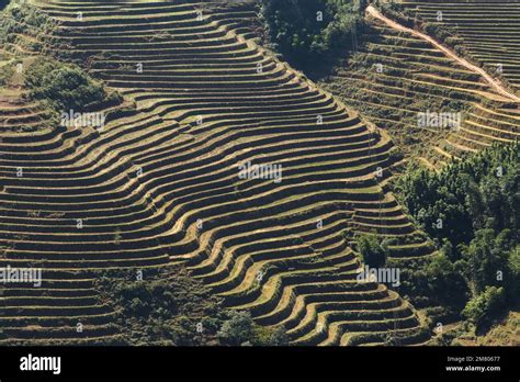 Sa Pa Vietnam, Rice Terraces and High Mountains in Sa Pa, Vietnam Stock ...