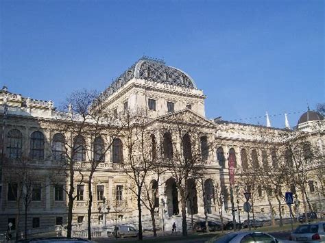 Museum Quartier on a sunny day - Foto di Vienna, Regione di Vienna - TripAdvisor