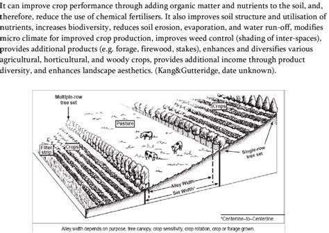 Alley-cropping system | Download Scientific Diagram