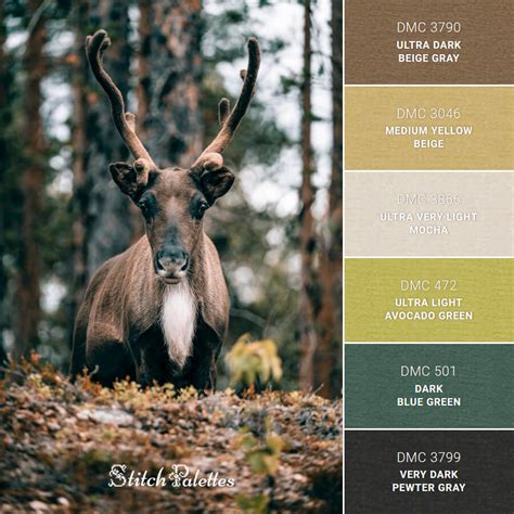 Reindeer In The Forests Of Sweden - Embroidery Color Palette (With Thread Codes)