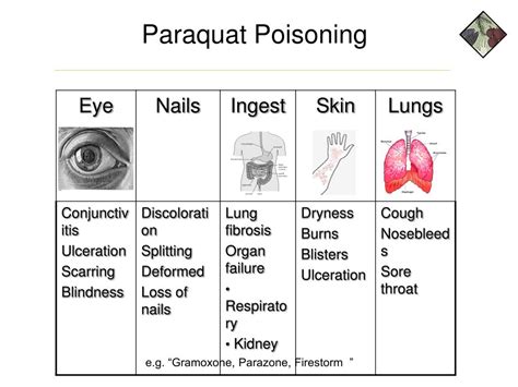 PPT - The Long Term Effects of Pesticide Exposure on Human Health An ...