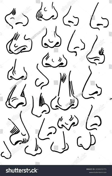 10,387 Sketch Human Nose Images, Stock Photos & Vectors | Shutterstock