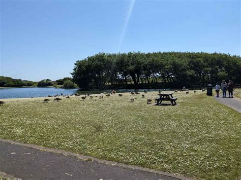 Fairhaven Lake, Lytham - North West for kids